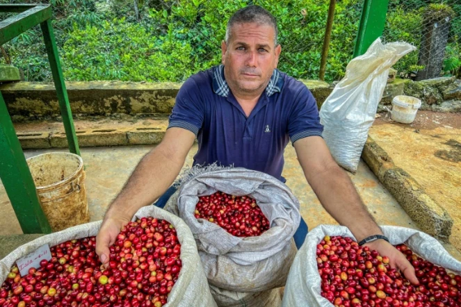 A Cuba, du café haut de gamme pour relancer un secteur en berne