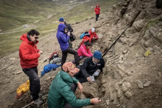 Images de l'Institut chilien de l'Antarctique (Inach) montrant des scientifiques travaillant dans une zone reculée de patagonie au Chili qui est devenue un important gisement de fossiles, à Cerro Guido en février 2020 ( INACH / Handout )