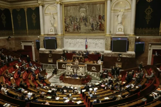 La Première ministre Elisabeth Borne s'adresse à l'Assemblée nationale, à Paris le 31 octobre 2022 ( AFP / Geoffroy Van der Hasselt )