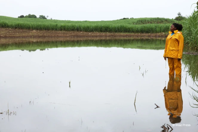 Des agriculteurs impactés par les fortes intempéries dans l'est