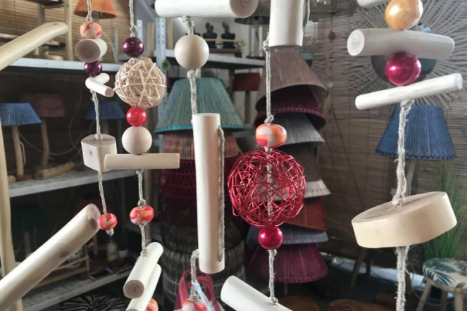 Salon de la maison installation