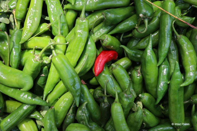 Gros piments
