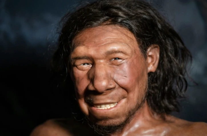 Reconstitution d'un Néandertal, photographiée le 6 septembre 2021 au Musée national des antiquités de Leiden (Pays-Bas) ( ANP / Bart Maat )