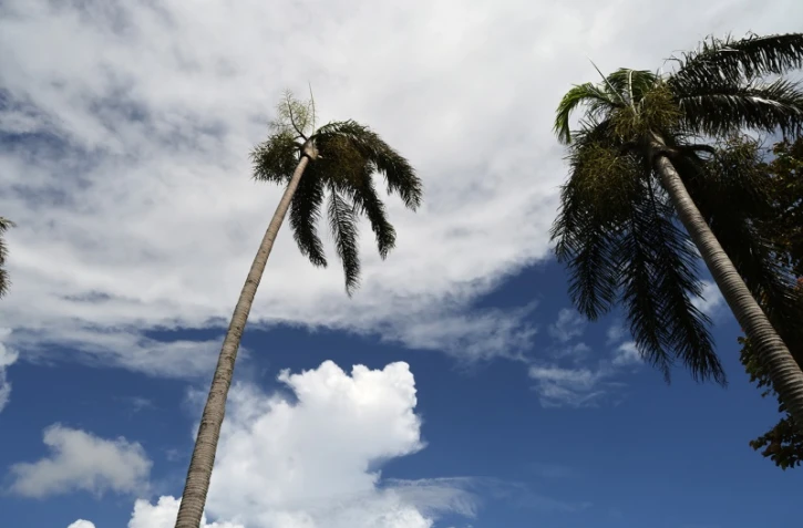 illustrations photos météo réunion