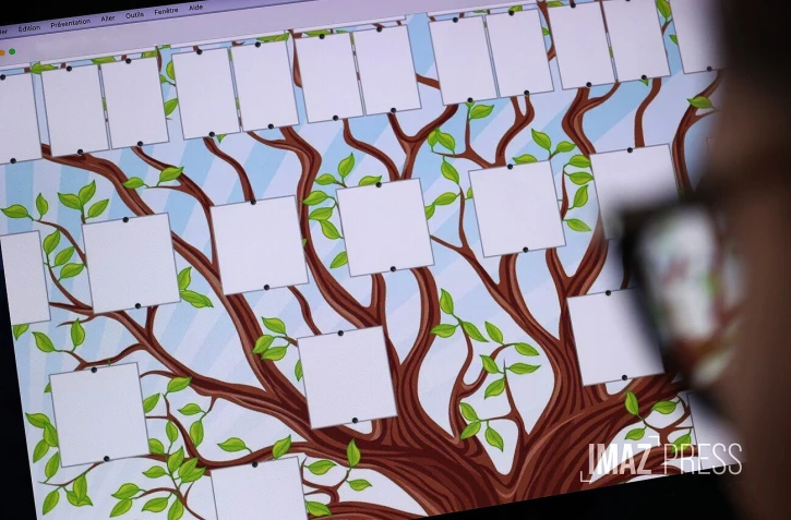 arbre généalogique