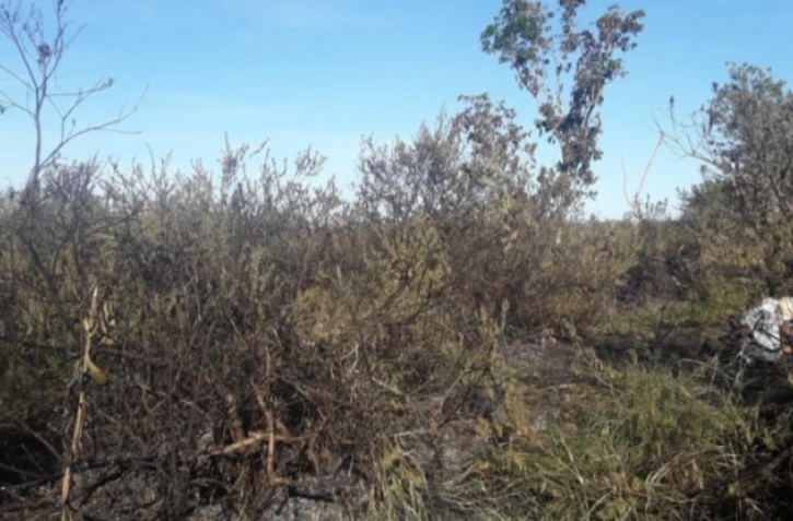 incendie étang saint paul