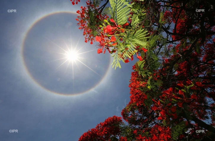 halo de chaleur