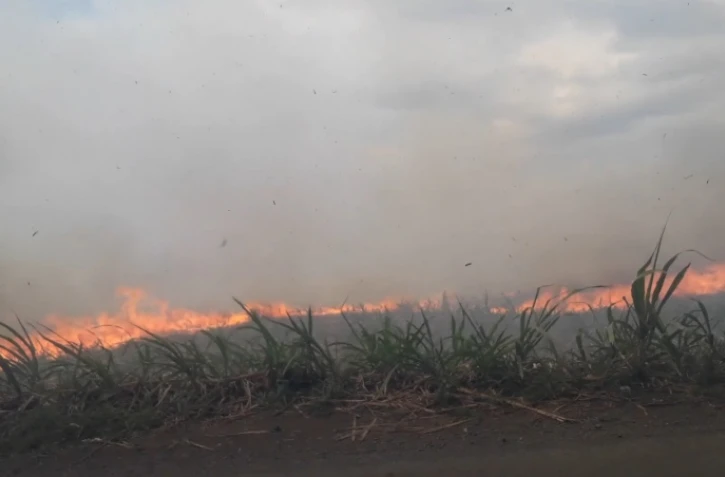 Saint-André : vaste feu dans un champ de canne, des habitants évacués