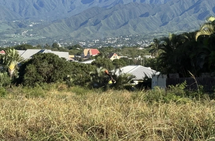 Saint-Pierre : grande opération de nettoyage dans le quartier de Bois d’Olives