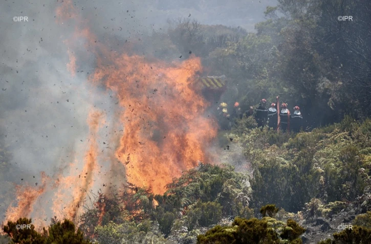 Incendie du Maïdo 9 novembre 2020