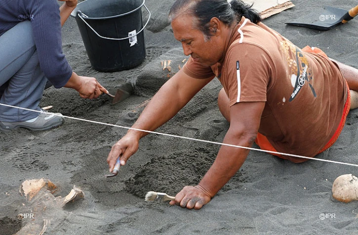 Sudel Fuma, historien, titulaire d\'une chaire à l\'Unesco