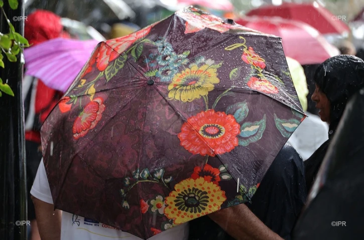 parapluie 