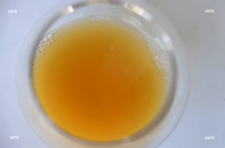 Brasserie Dalons 