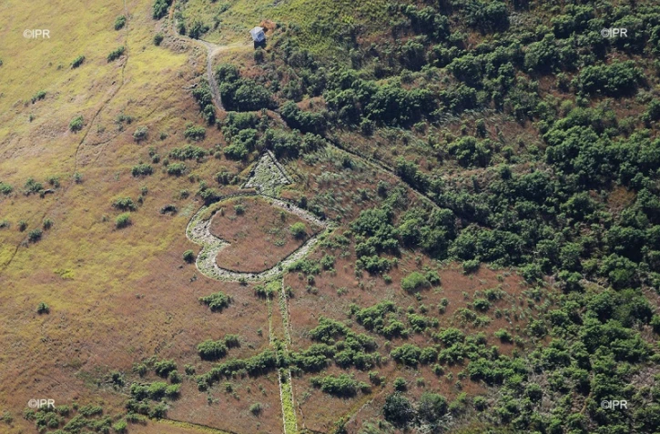 coeur dans la savane 