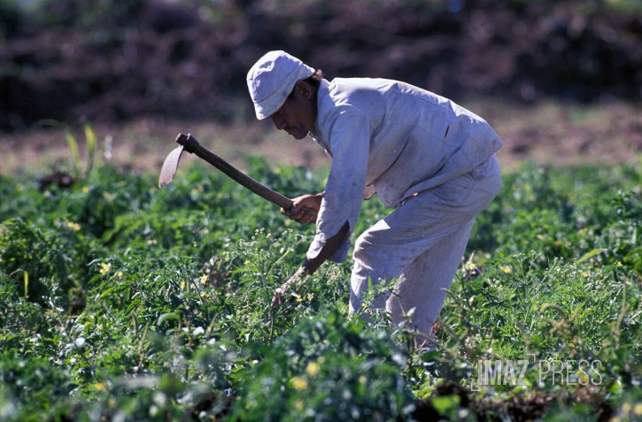 Agriculteur 