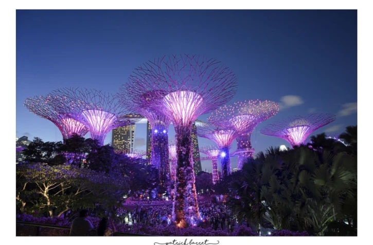 Patrick Barret - Photographe