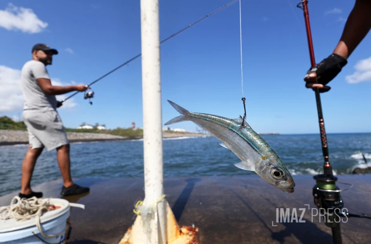 pecheurs à la golette