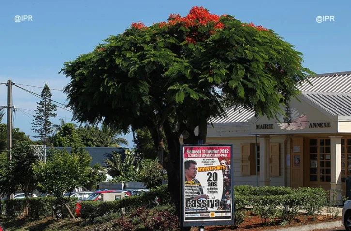 mairie annexe de Fleurimont