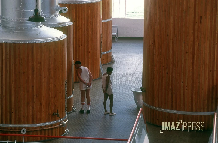 Stella Matutina dans les années 1990 