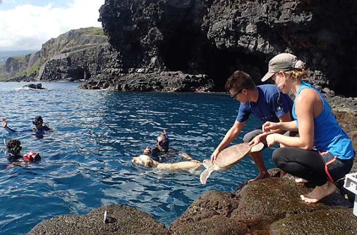 Tortue Eva retrouve la mer