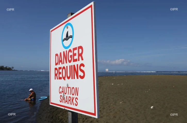surf et baignade 