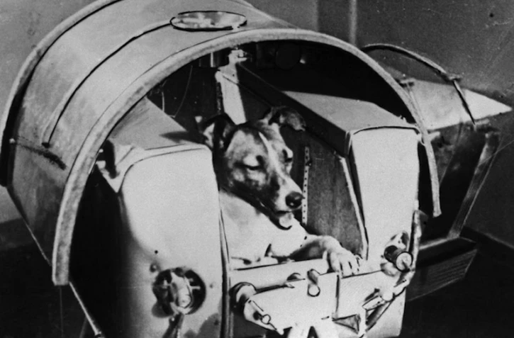 Laïka dans l\'espace