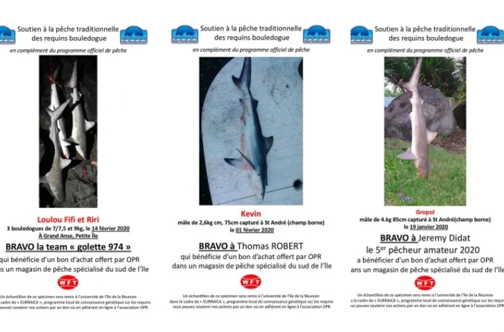 Bons d'achat requins OPR
