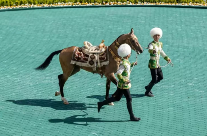 Un cheval akhal-teke lors d'un concours le 25 avril 2026 à Achkhabad, la capitale du Turkménistan ( AFP / STRINGER )