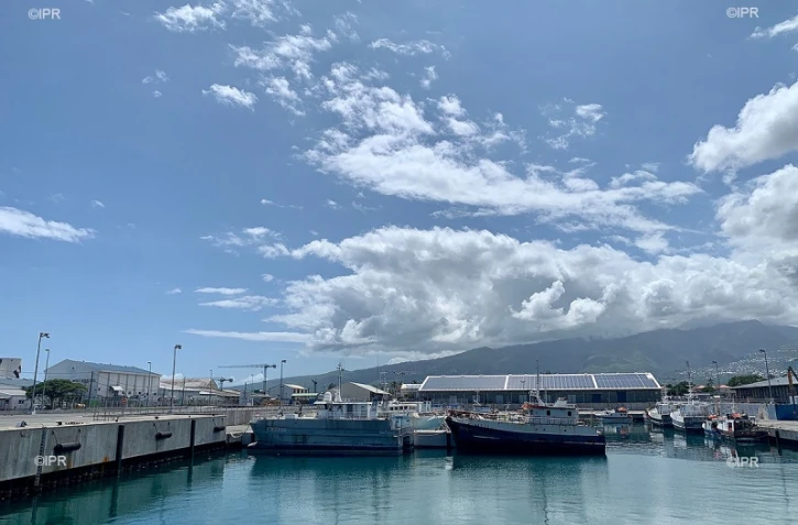 Darse du port ouest