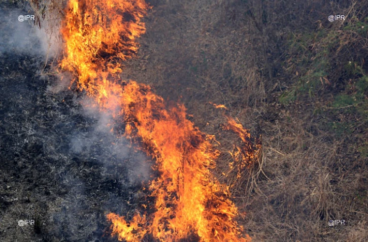 Le feu de végétation maitrisé
