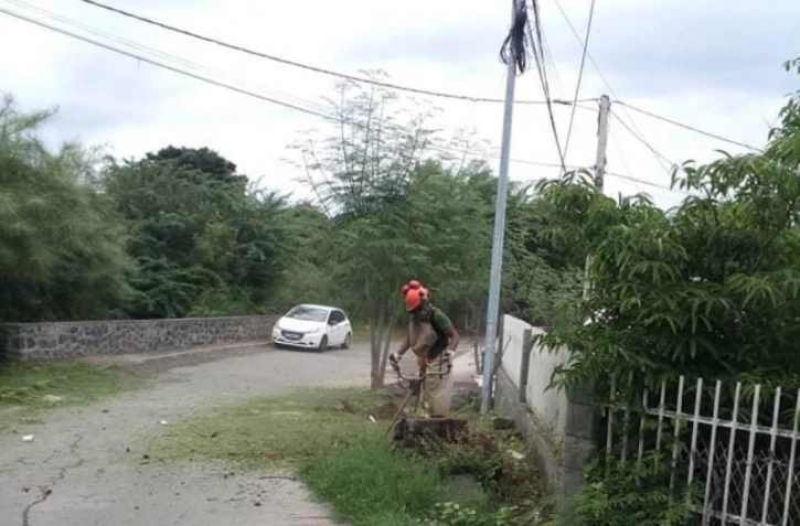 dengue nettoyage