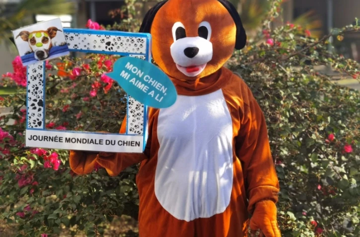 Journée mondiale du chien