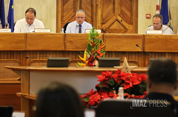 assemblée plénière du conseil départemental 