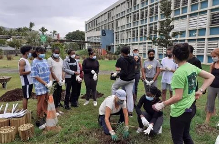Lycéens plantes médicinales