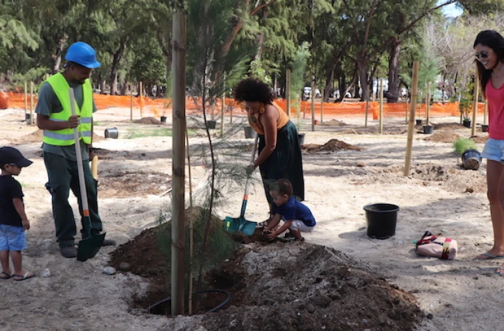 Opération "4 000" arbres