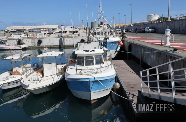 filière pêche transformation de poissons chez Réunimer 