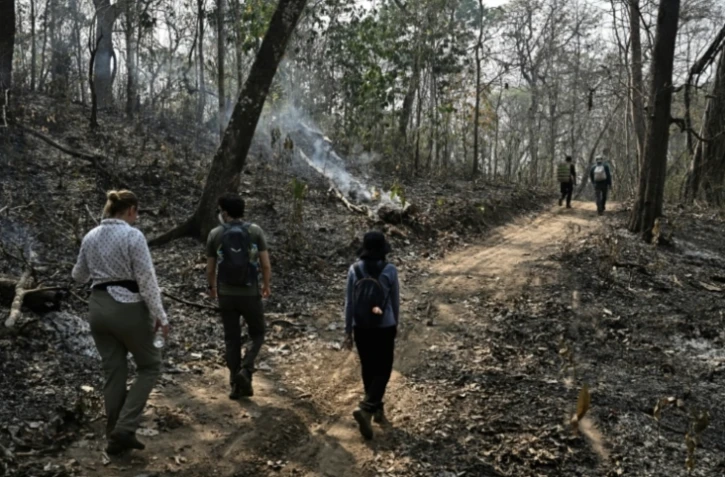 Des chercheurs de l'université thaïlandaise de Chiang Mai et des Jardins botaniques royaux de Kew traversent la réserve naturelle d'Umphang (Thaïlande) le 22 mars 2025 ( AFP / Lillian SUWANRUMPHA )