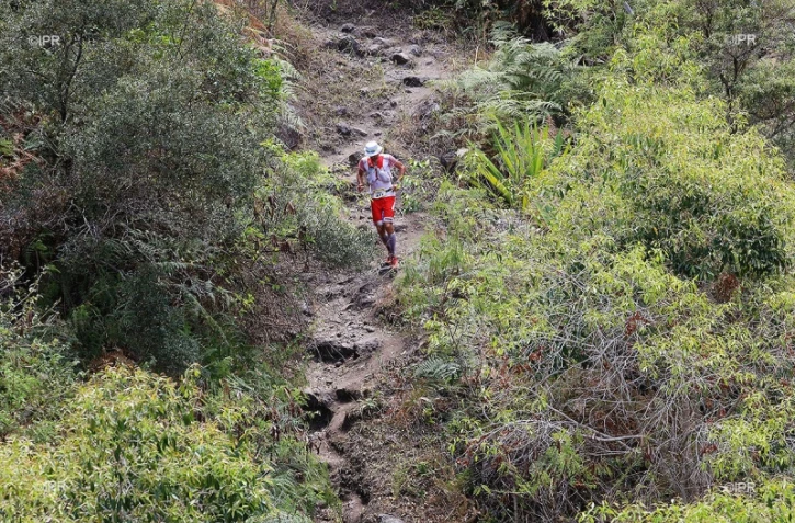 François D'Haene 2016