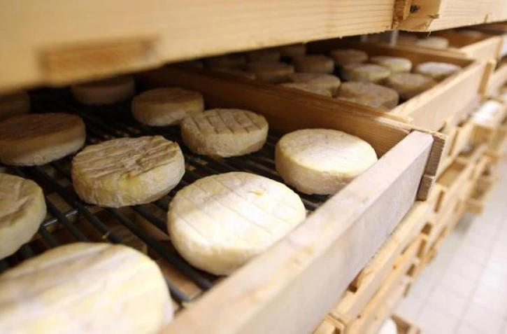 Retrait et rappel de fromages Saint-Félicien et Saint Marcellin