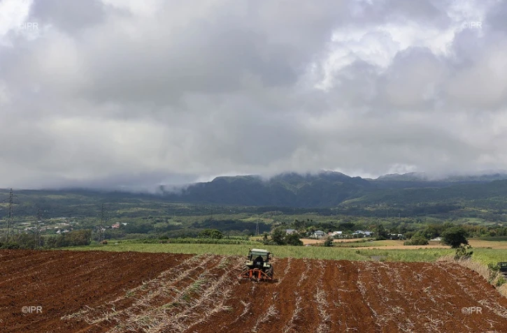 agriculture 