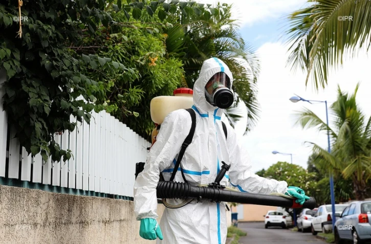 dengue 