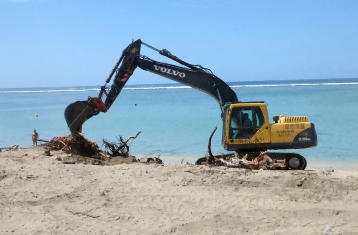 Dix filaos attaqués par les termites menaçaient de s\'écrouler.