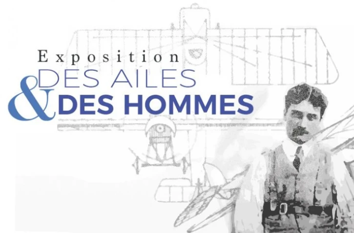 Ailes