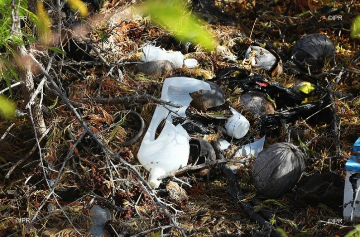 déchets 