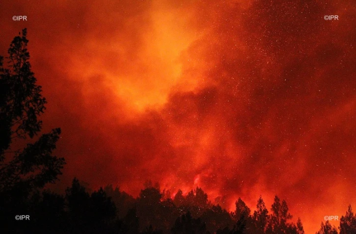 Feu du Maïdo