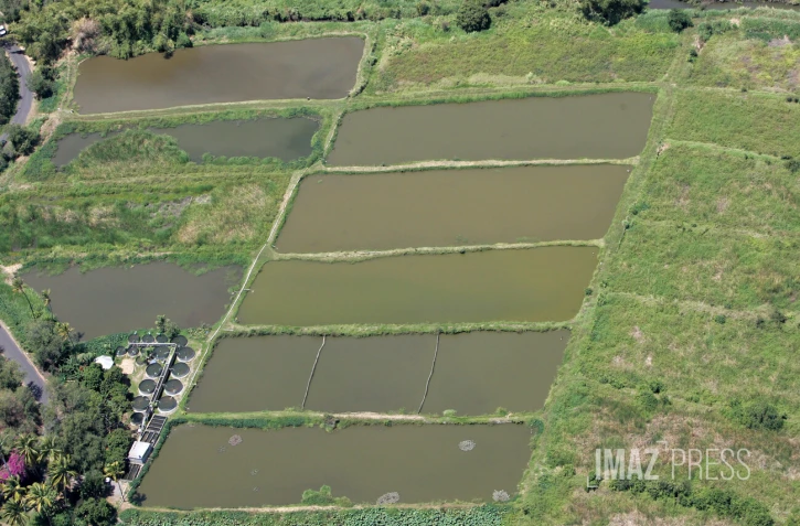 traitement des eaux usées étang salé 