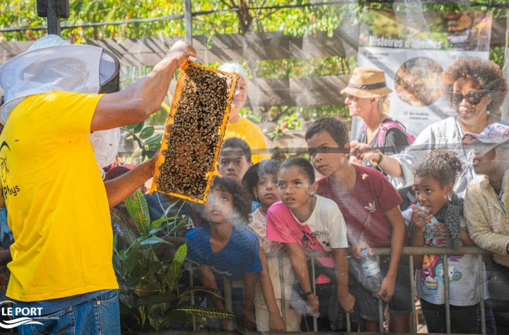 Le Port : une matinée immersive dans le monde des abeilles
