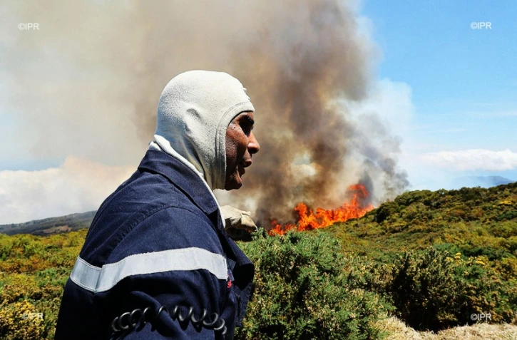 Incendie Maïdo 2020