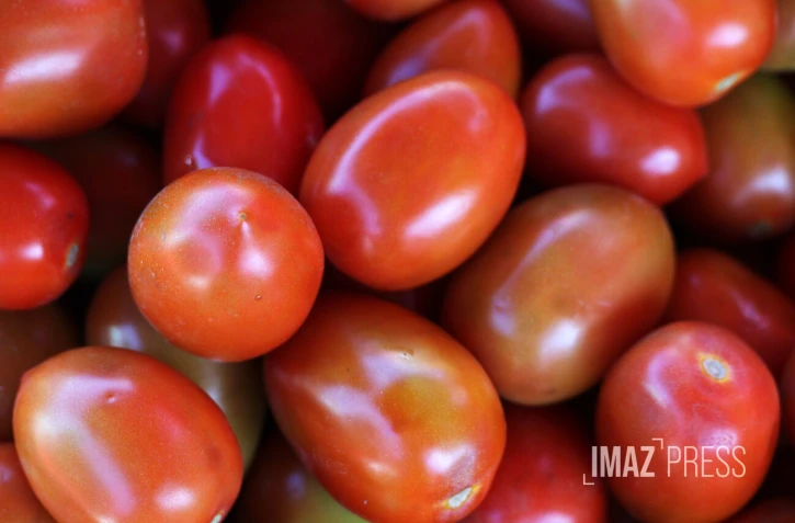 marché forain tomates 