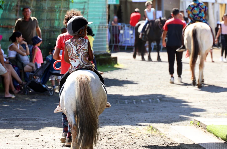 Foire agricole de Bras Panon 